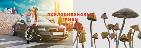 амф Богородицк