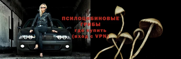 дмт Рославль